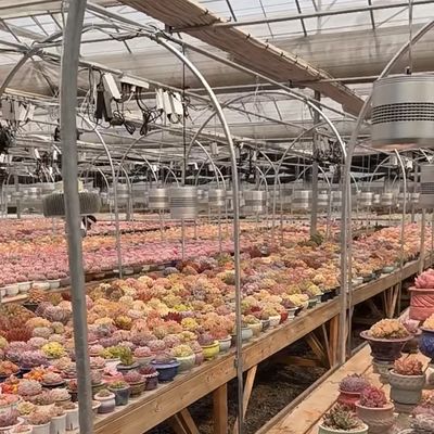 Hydroponisch groeisysteem Glaskas voor dubbellagerdakvormig dak