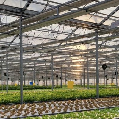 Hydroponisch groeisysteem Glaskas voor dubbellagerdakvormig dak