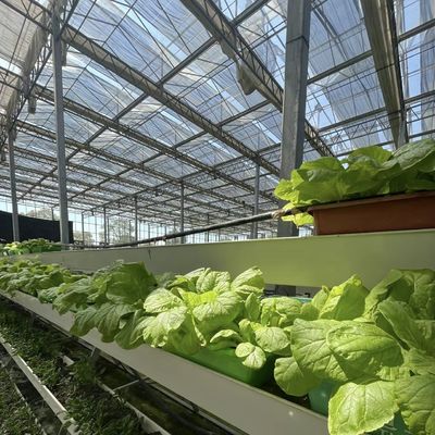 Hydroponisch groeisysteem Glaskas voor dubbellagerdakvormig dak