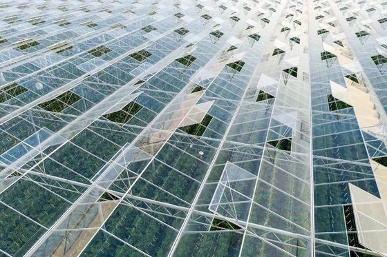 80.000kg Pakket Grossgewicht Glaskas met hydroponica en verzendkosten