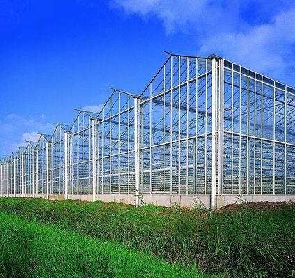 Doppelschijvergroenteboerderij met drupbelbewatering en staalstructuur