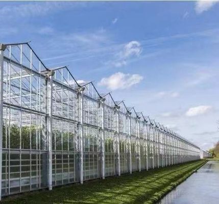 Doppelschijvergroenteboerderij met drupbelbewatering en staalstructuur