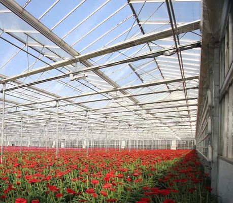 Typ Roof Hydroponics Growing System Geschikt voor de vereisten van uw klant