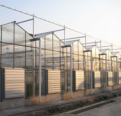 Typ Roof Hydroponics Growing System Geschikt voor de vereisten van uw klant