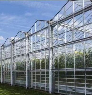 Typ Roof Hydroponics Growing System Geschikt voor de vereisten van uw klant
