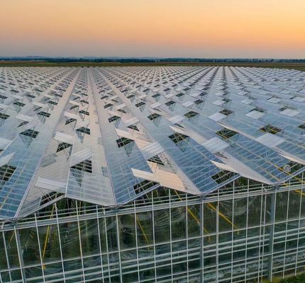Typ Roof Hydroponics Growing System Geschikt voor de vereisten van uw klant