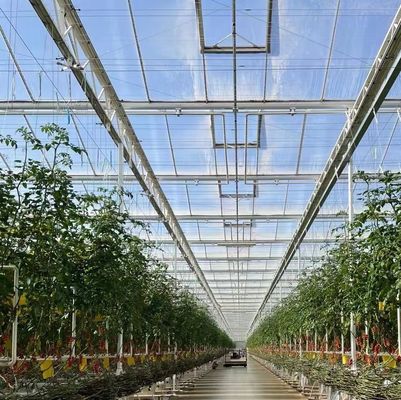 Glastuin met hydroponica