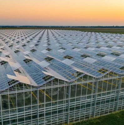 Goed lichttransmissie glazen dekking Venlo kas met aanpassingsmogelijkheid