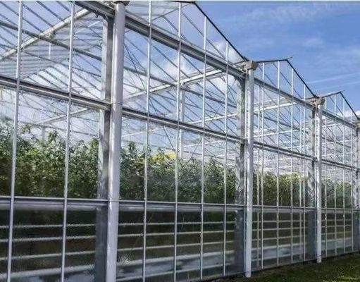 Goed lichttransmissie glazen dekking Venlo kas met aanpassingsmogelijkheid