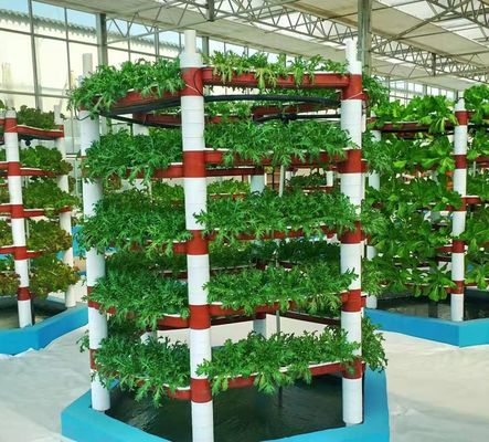Gecontroleerde omgeving voor zaaizaad/groente/fruit/bloemen Hydroponische zaaizaadkas