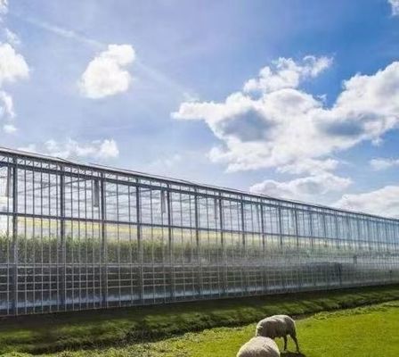 Gecontroleerde omgeving voor zaaizaad/groente/fruit/bloemen Hydroponische zaaizaadkas