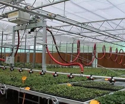 Gecontroleerde omgeving voor zaaizaad/groente/fruit/bloemen Hydroponische zaaizaadkas