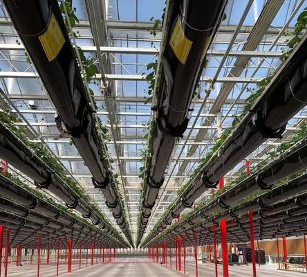 Anti-Drip Fogging Hydroponische zaaistructuur Perfect voor klantvereisten