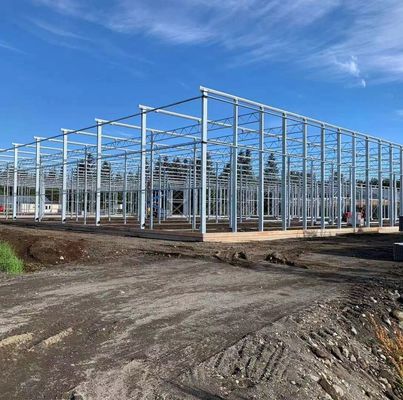 Anti-Drip Fogging Hydroponische zaaistructuur Perfect voor klantvereisten