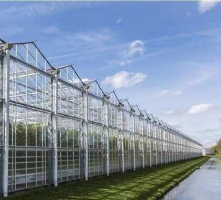 Anti-Drip Fogging Hydroponische zaaistructuur Perfect voor klantvereisten