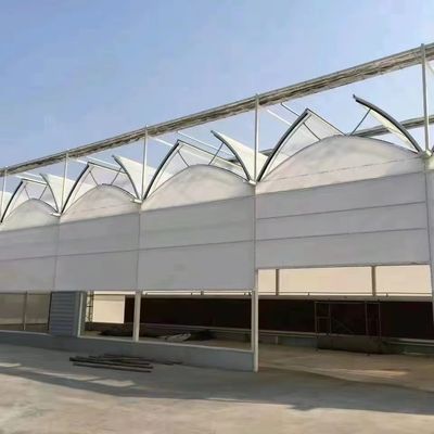 Anti-Drip Fogging Hydroponische zaaistructuur Perfect voor klantvereisten
