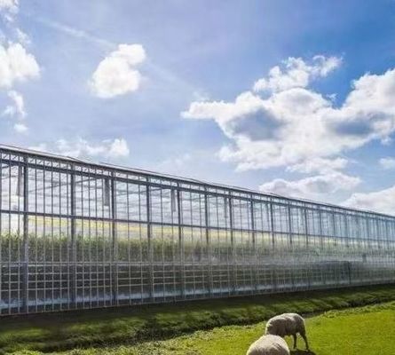 Anti-Drip Fogging Hydroponische zaaistructuur Perfect voor klantvereisten