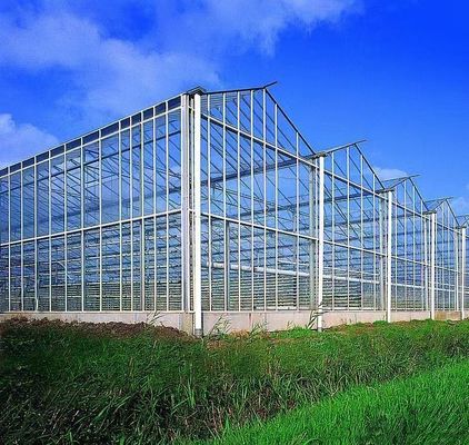 Teeltmethode Hydroponie VS Gereguleerde glazen kas voor groenten/bloemen/vruchten