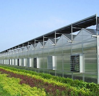Teeltmethode Hydroponie VS Gereguleerde glazen kas voor groenten/bloemen/vruchten
