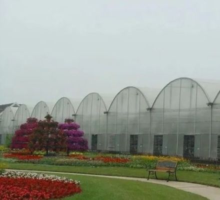 Polycarbonaatplaat kas kas kas kas Rdgu0808h-10mm met US en boerderij apparatuur