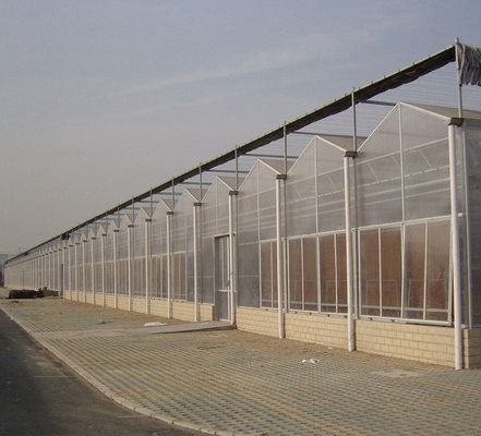 Polycarbonaatplaat kas kas kas kas Rdgu0808h-10mm met US en boerderij apparatuur