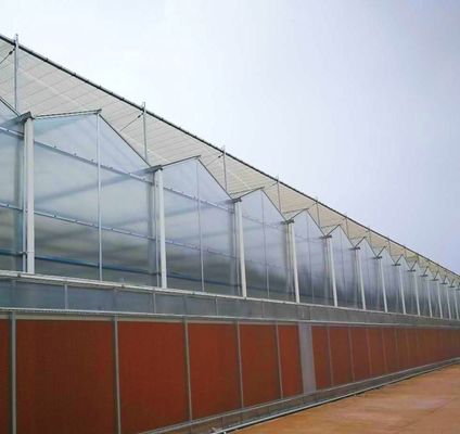 Polycarbonaatplaat kas kas kas kas Rdgu0808h-10mm met US en boerderij apparatuur
