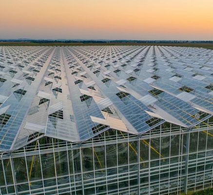 Polycarbonaatplaat kas kas kas kas Rdgu0808h-10mm met US en boerderij apparatuur