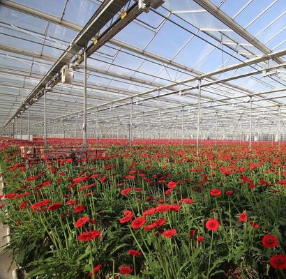 Polycarbonaatplaat kas kas kas kas Rdgu0808h-10mm met US en boerderij apparatuur